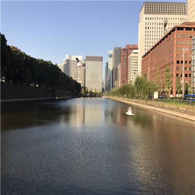 棋牌游戏下载手机版