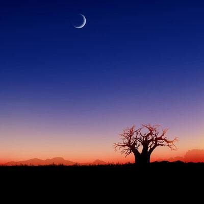 Kaiyun·体育(全站)