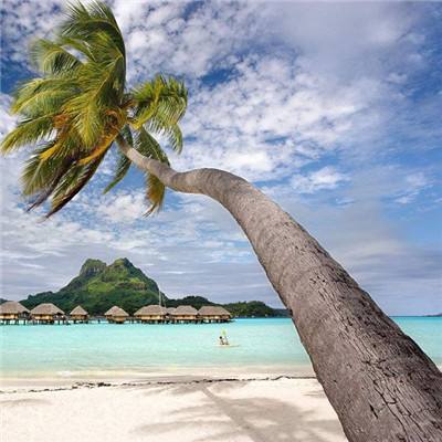 welcome新皇冠手机app下载