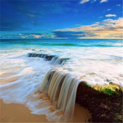 威尼斯软件·下载