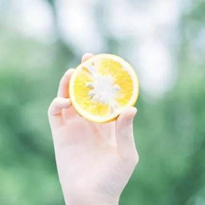 kok在线官网入口